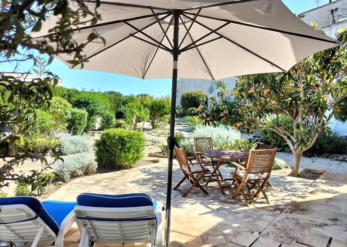 Tabaira 모라이라