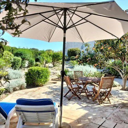 Tabaira מוריירה