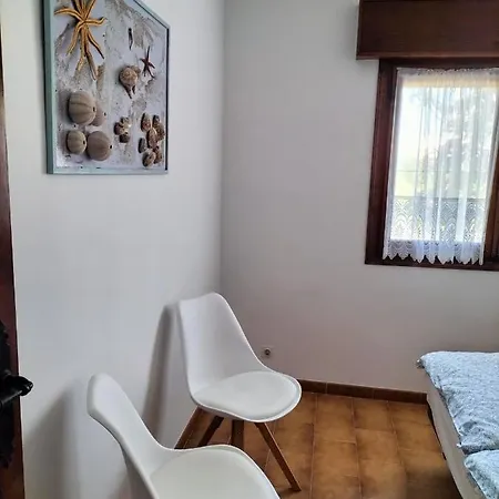 Tabaira מוריירה