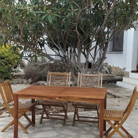 Tabaira * מוריירה